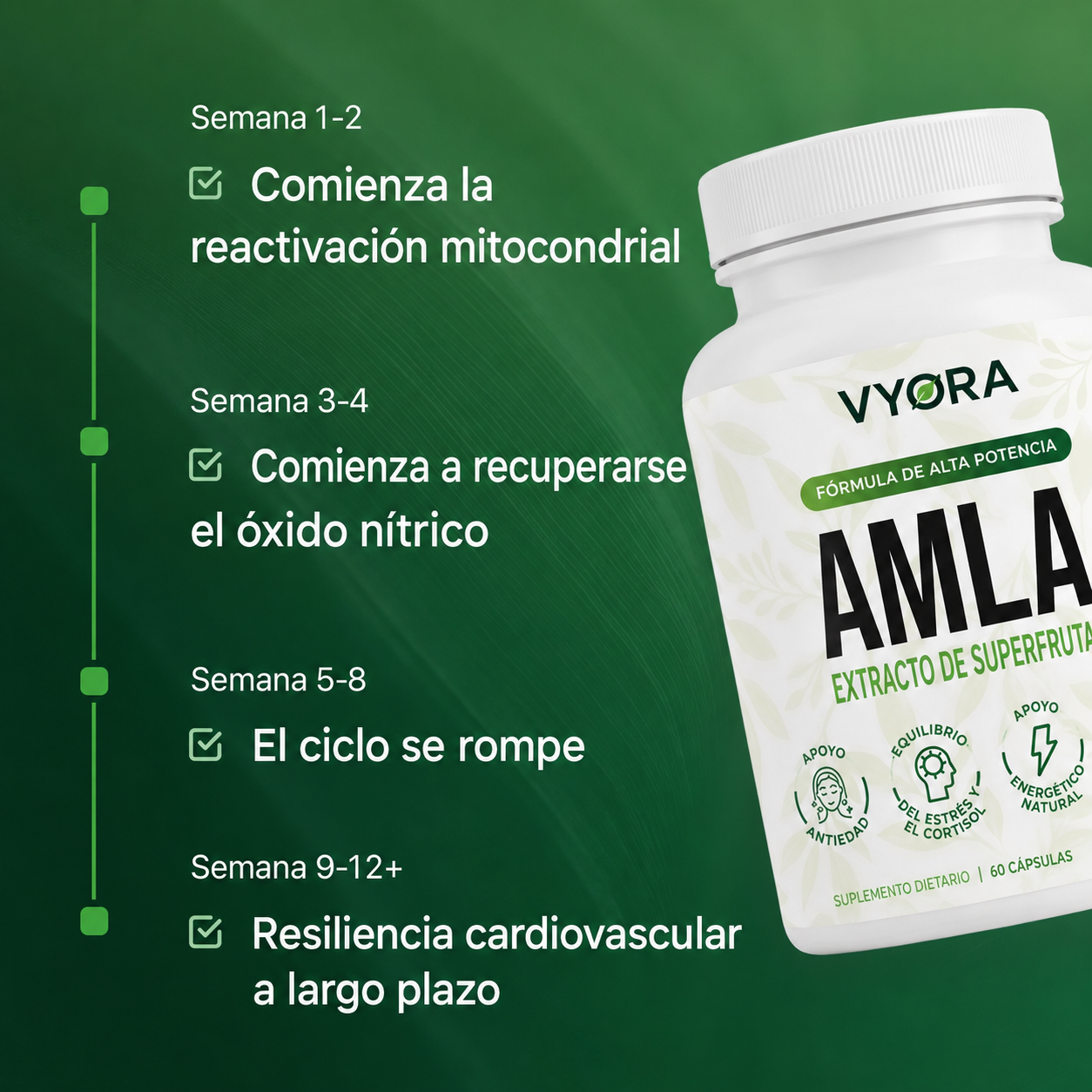 Cápsulas de Amla Superfruit