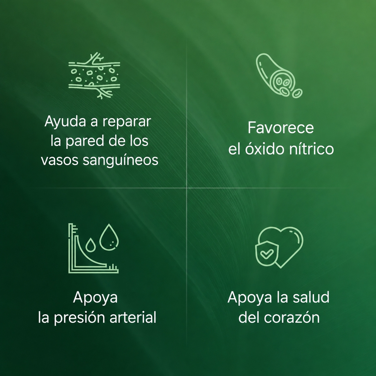 Cápsulas de Amla Superfruit